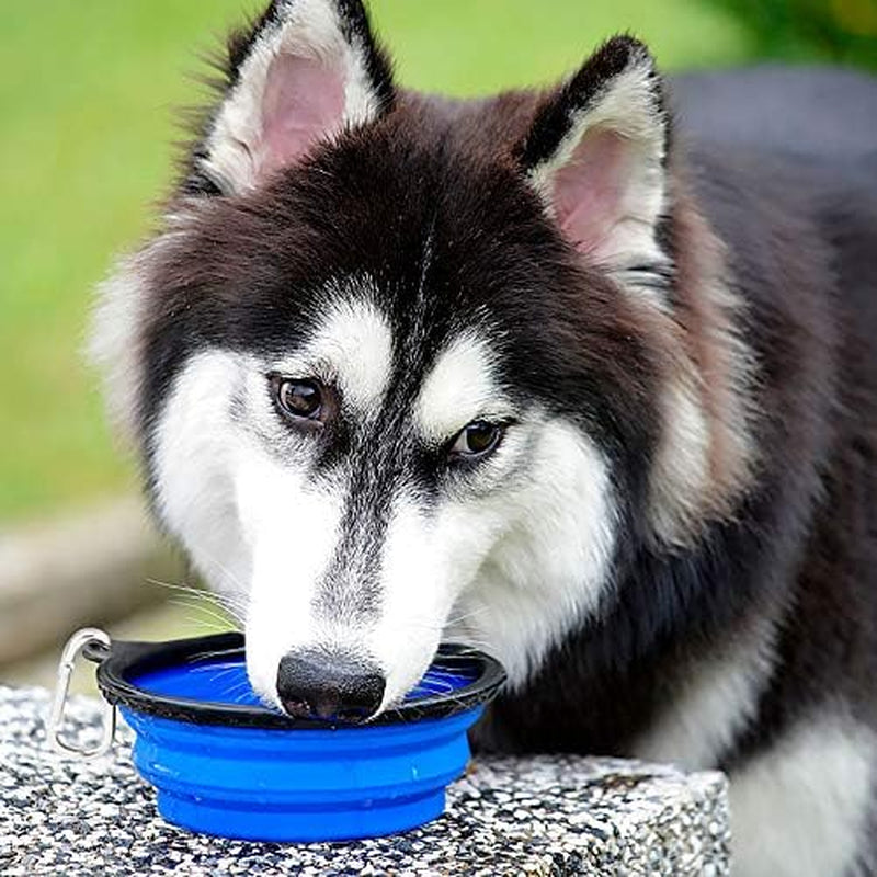 Extra Large Collapsible Dog Bowls 2 Pack, 34Oz Foldable Dog Travel Bowl, Portable Dog Water Food Bowl with Carabiner, Pet Feeding Cup Dish for Traveling, Walking, Parking