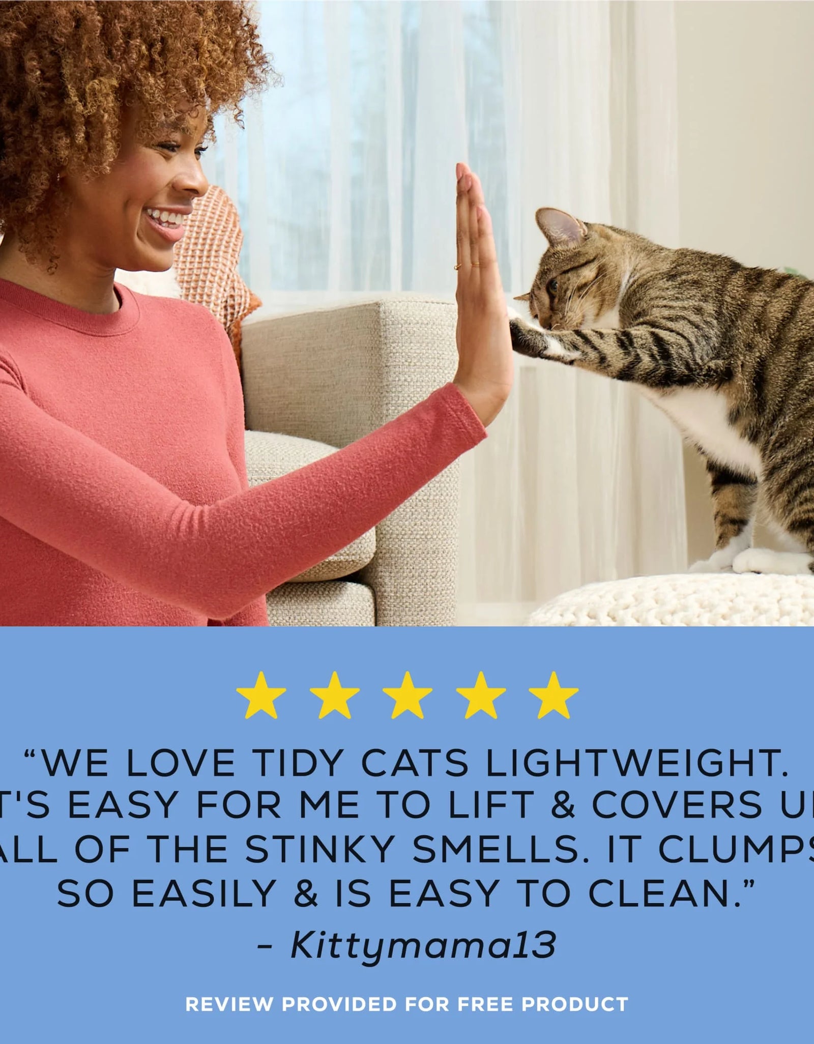 Purina  Lightweight Clumping Cat Litter, Low Dust, 24/7 Odor Control, 17 Lb. Pail