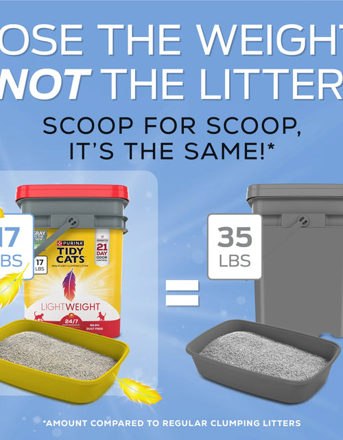 Load image into Gallery viewer, Purina  Lightweight Clumping Cat Litter, Low Dust, 24/7 Odor Control, 17 Lb. Pail
