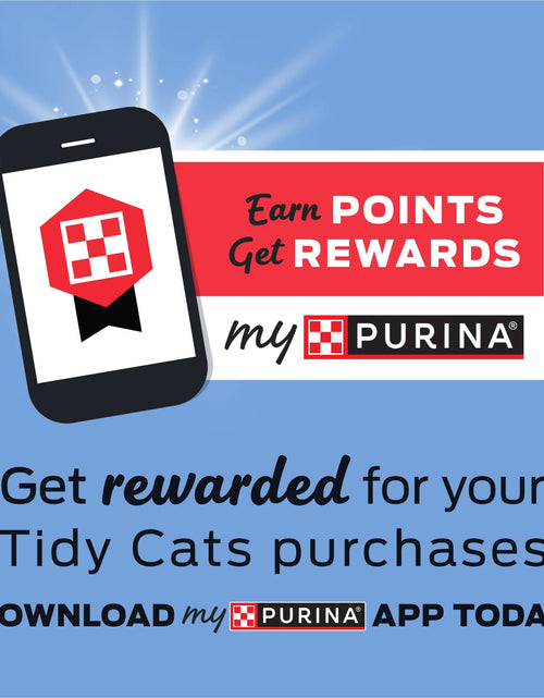 Load image into Gallery viewer, Purina  Lightweight Clumping Cat Litter, Low Dust, 24/7 Odor Control, 17 Lb. Pail
